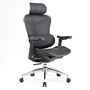sihoo doro c300