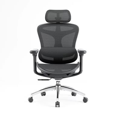 vue face sihoo doro c300